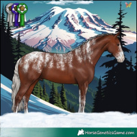 Horse Color:Powder White Chocolate Silver Bay 