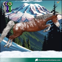 Horse Color:Powder White Chocolate Silver Bay 
