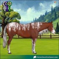 Horse Color:Powder White Chocolate Silver Bay