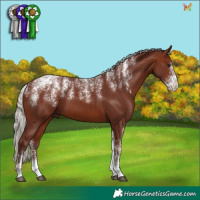 Horse Color:Powder White Chocolate Silver Bay 