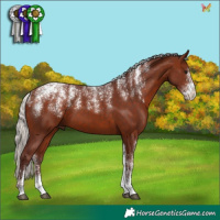 Horse Color:Powder White Chocolate Silver Bay