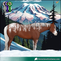 Horse Color:Powder White Chocolate Silver Bay 