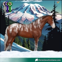Horse Color:Powder White Chocolate Silver Bay 