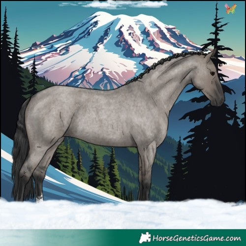 Horse Color:Grullo Roan Sabino Rabicano 