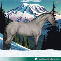 Horse Color:Grullo Roan Sabino Rabicano 