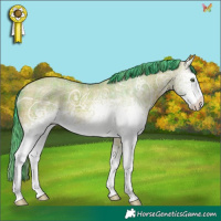 Horse Color:Watercolor Plaid  White Spotted Amber Champagne Ice 