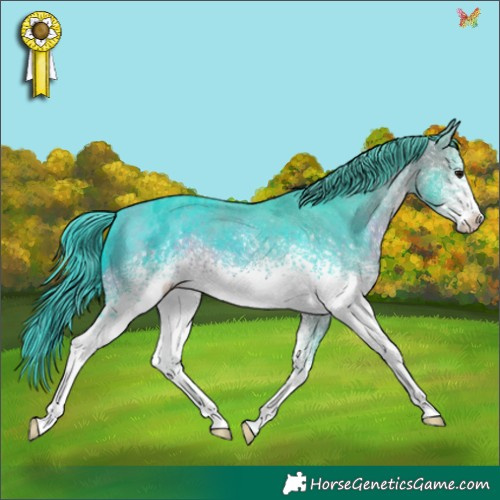 Horse Color:Watercolor White Spotted Brown Appaloosa 