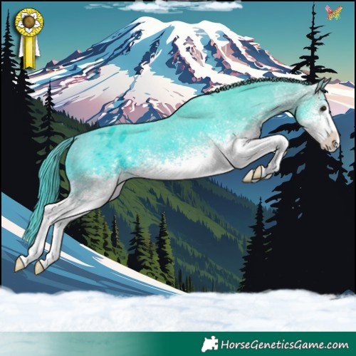 Horse Color:Watercolor White Spotted Brown Appaloosa 