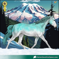 Horse Color:Watercolor White Spotted Brown Appaloosa 