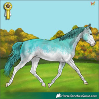 Horse Color:Watercolor White Spotted Brown Appaloosa 