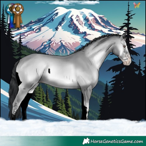 Horse Color:White Spotted Classic Champagne Chinchilla Onyx 
