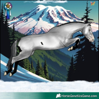 Horse Color:White Spotted Classic Champagne Chinchilla Onyx 