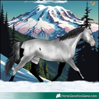 Horse Color:White Spotted Classic Champagne Chinchilla Onyx 