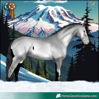 Horse Color:White Spotted Classic Champagne Chinchilla Onyx 