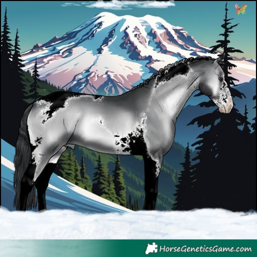 Horse Color:White Spotted Blue Onyx Chinchilla Tobiano 