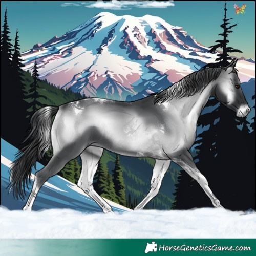Horse Color:Blue Onyx Chinchilla Tobiano 