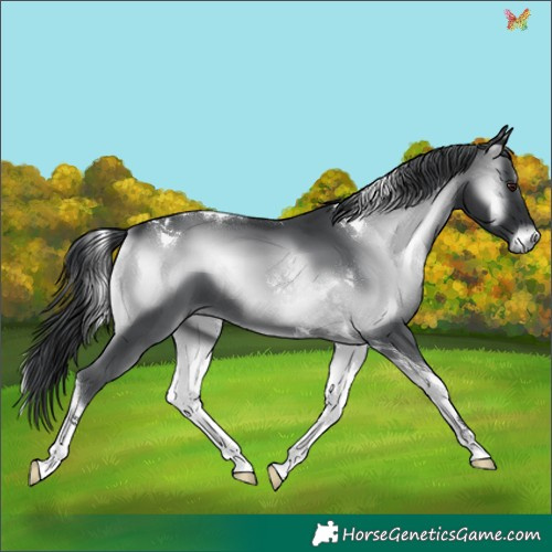 Horse Color:Blue Onyx Chinchilla Tobiano 