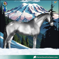 Horse Color:Blue Onyx Chinchilla Tobiano