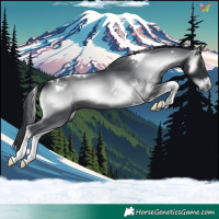 Horse Color:Blue Onyx Chinchilla Tobiano 