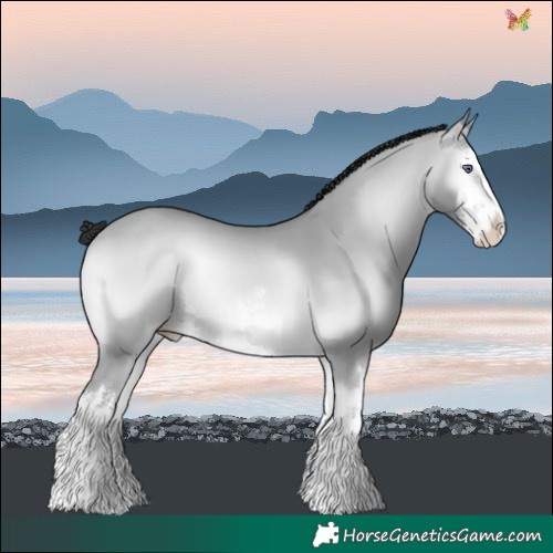 Horse Color:White Spotted Sable Champagne Chinchilla Onyx 