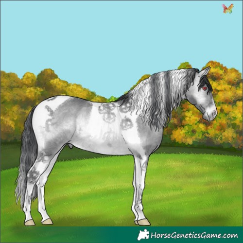 Horse Color:Brown Chinchilla Ice Onyx Tobiano 