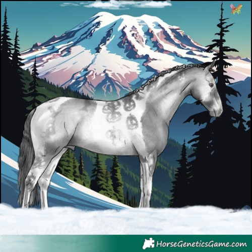 Horse Color:Brown Chinchilla Ice Onyx Tobiano 