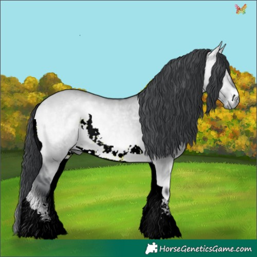 Horse Color:Brown Chinchilla Onyx 