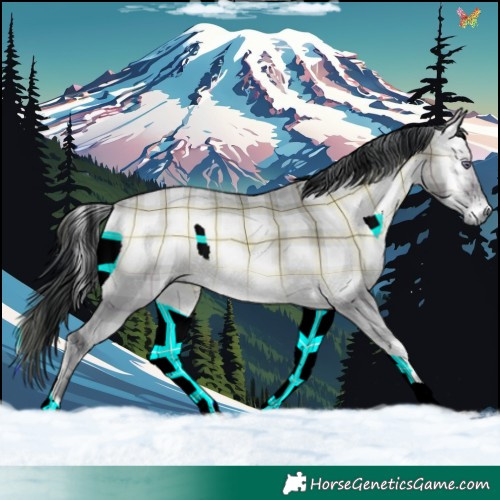 Horse Color:Plaid  Brown Chinchilla Onyx 