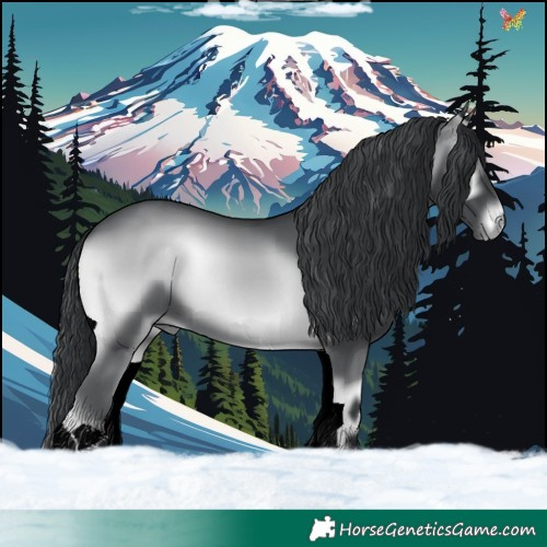 Horse Color:Blue Onyx Chinchilla 