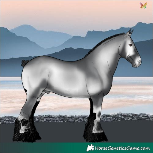 Horse Color:Blue Onyx Chinchilla 