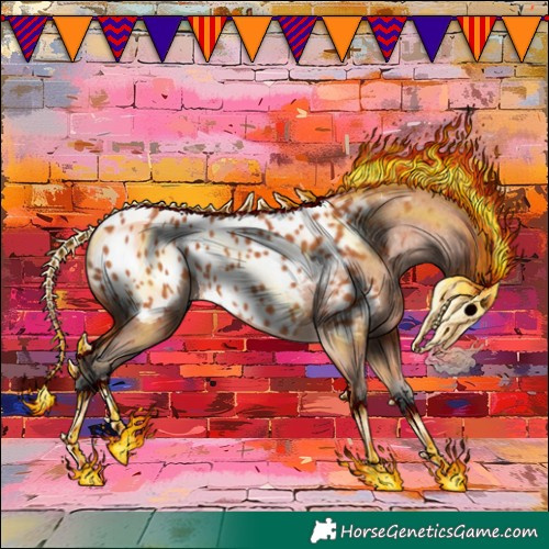 Horse Color:Bay Appaloosa 