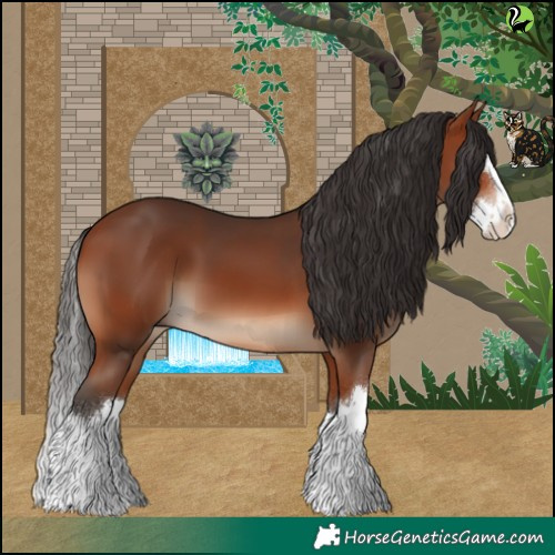 Horse Color:White Spotted Bay Splash 