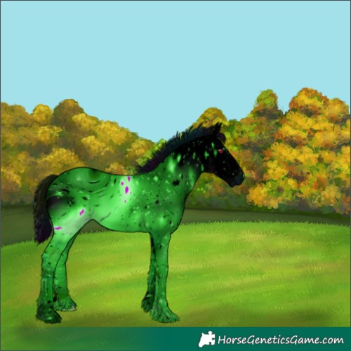 Horse Color:ERROR: UNKNOWN ANOMALY