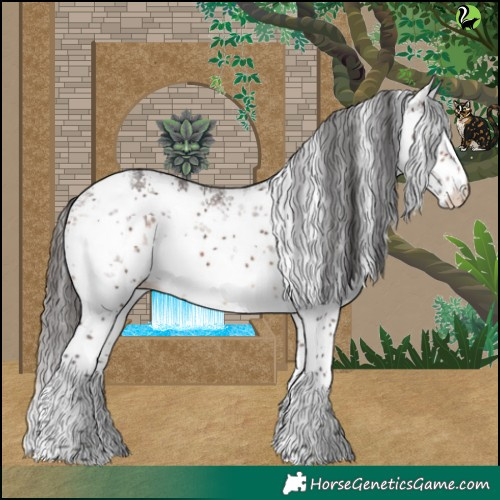 Horse Color:White Spotted Brown Sabino Splash 