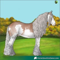 Horse Color:White Spotted Silver Bay Splash 
