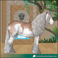 Horse Color:White Spotted Silver Bay Splash 
