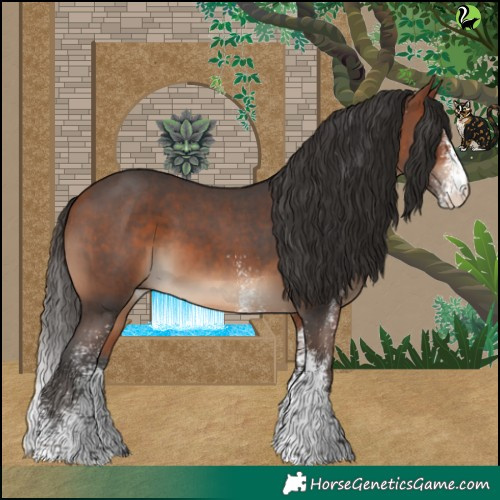 Horse Color:White Spotted Bay 