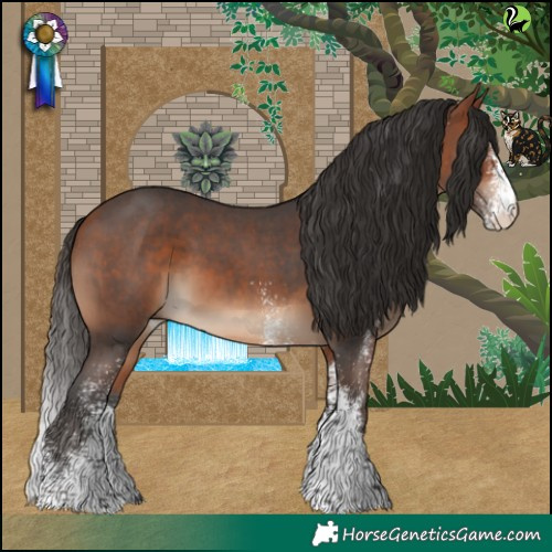 Horse Color:White Spotted Bay 