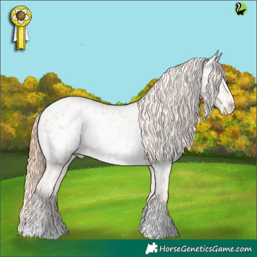 Horse Color:Amber Cream Champagne Pearl Appaloosa 