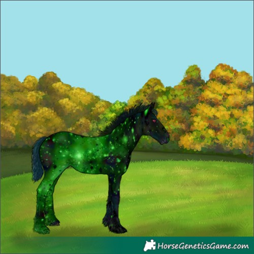 Horse Color:ERROR: UNKNOWN ANOMALY