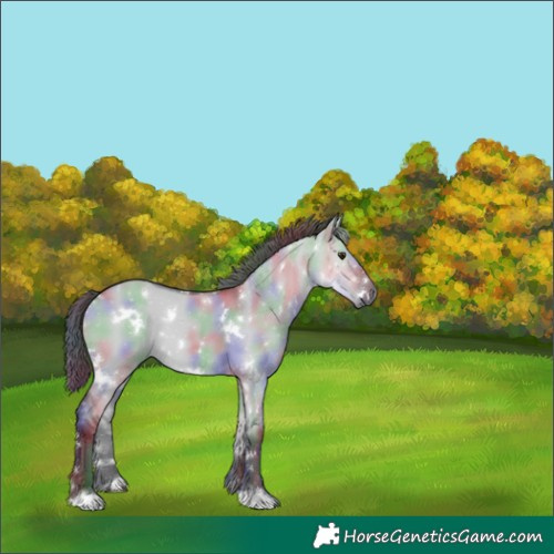 Horse Color:Nacre White Spotted Grullo Chinchilla 