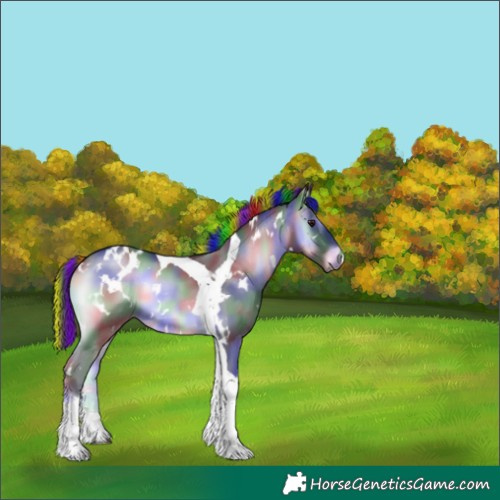 Horse Color:Painted Nacre White Spotted Blue Onyx Chinchilla Tobiano Rabicano 