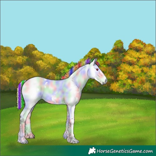 Horse Color:Painted Nacre White Spotted Red Dun Chinchilla 