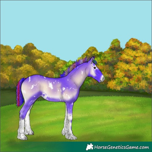 Horse Color:Painted Watercolor White Spotted Blue Onyx Chinchilla Tobiano Rabicano 