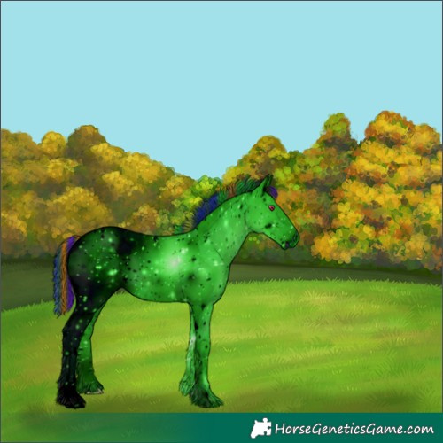 Horse Color:ERROR: UNKNOWN ANOMALY