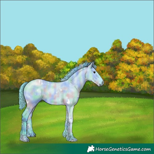 Horse Color:Nacre Watercolor White Spotted Grullo Chinchilla 
