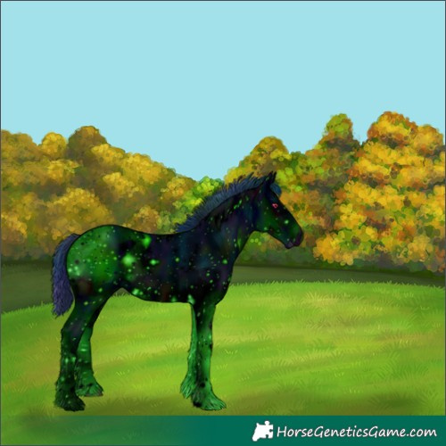 Horse Color:ERROR: UNKNOWN ANOMALY