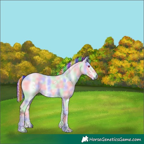 Horse Color:Painted Nacre White Spotted Red Dun Chinchilla Rabicano 