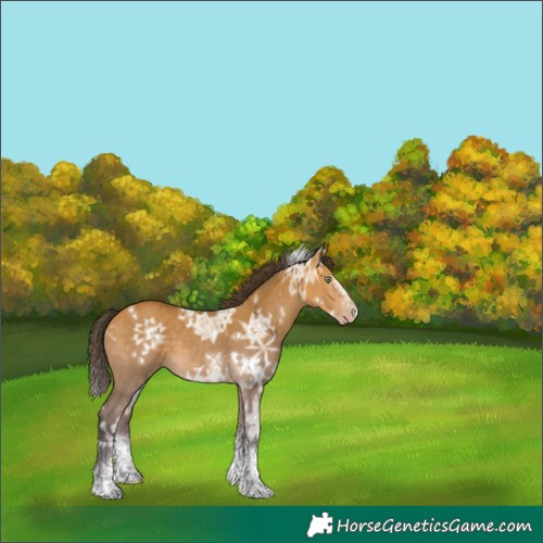 Horse Color:White Spotted Sable Cream Champagne Ice Dun 