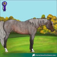 Horse Color:Silver Brown Roan 